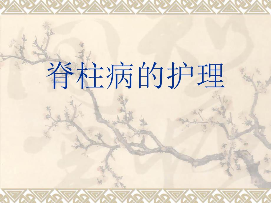 脊柱病的护理业务学习.ppt_第1页