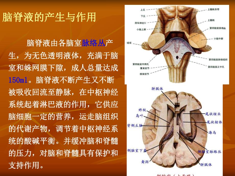 脑积水治疗和护理.ppt.ppt_第3页