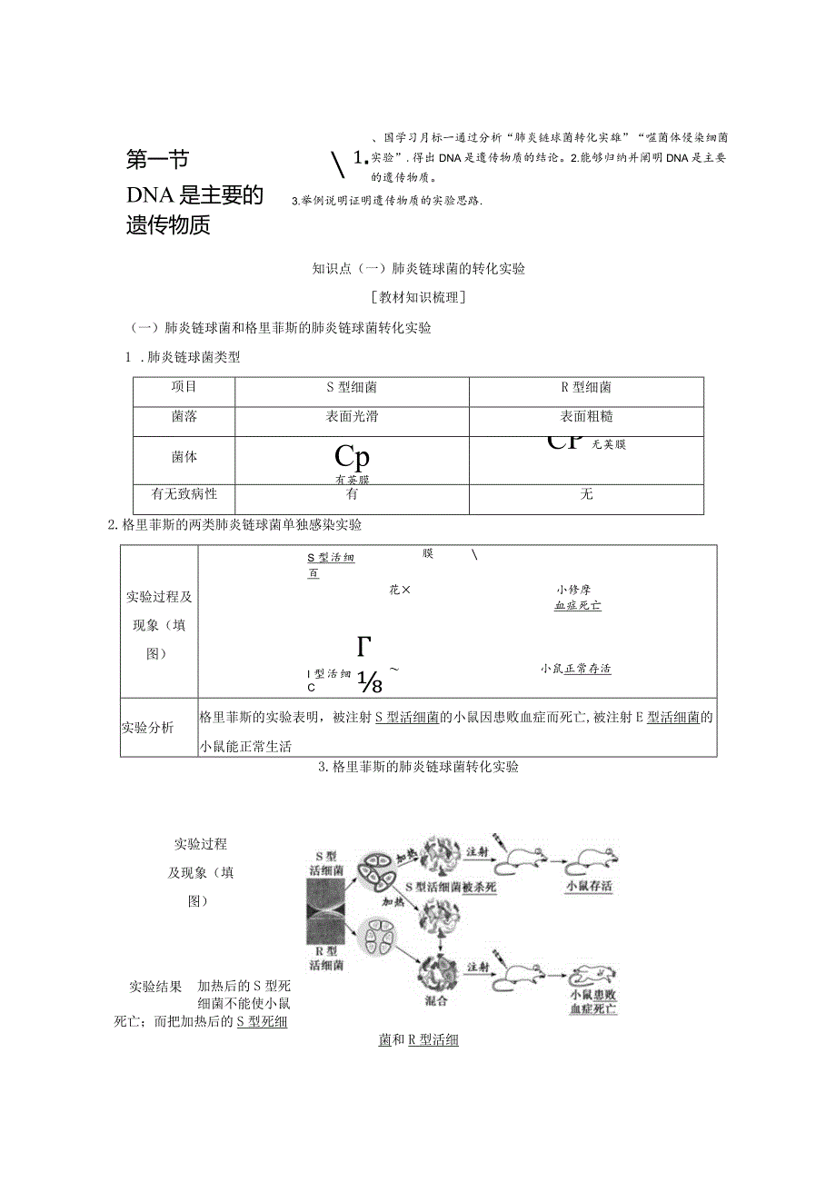 2023-2024学年苏教版必修二DNA是主要遗传物质学案.docx_第1页