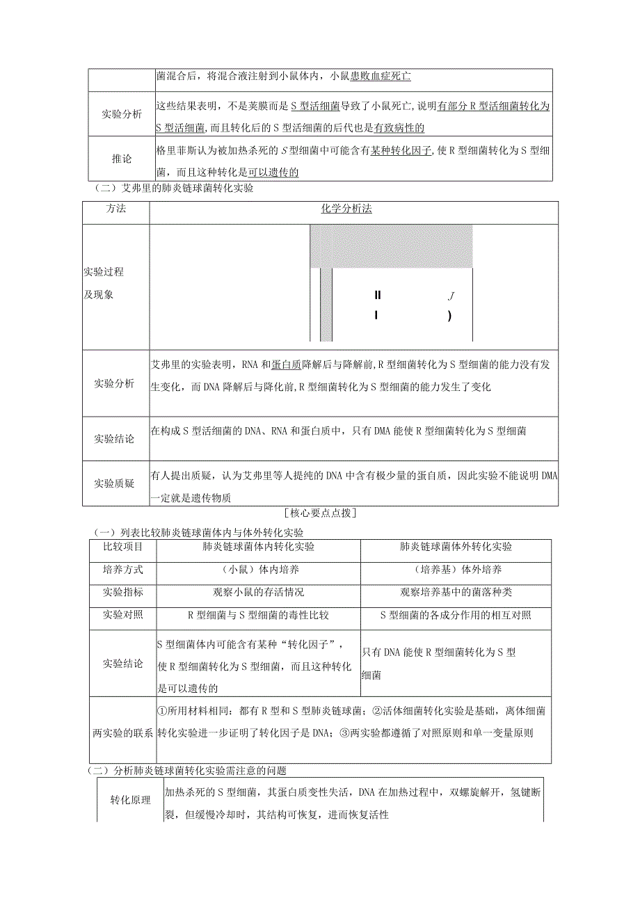 2023-2024学年苏教版必修二DNA是主要遗传物质学案.docx_第2页