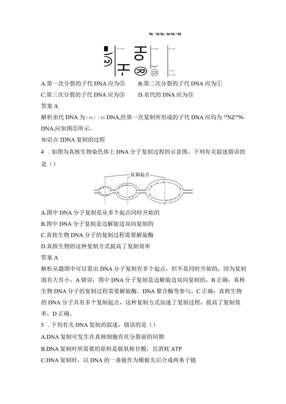 2023-2024学年人教版必修二DNA的复制作业.docx_第2页