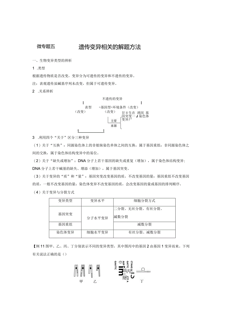 2023-2024学年人教版必修二微专题五遗传变异相关的解题方法学案.docx_第1页