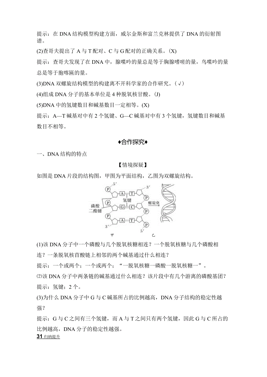 2023-2024学年人教版必修二DNA的结构学案.docx_第3页