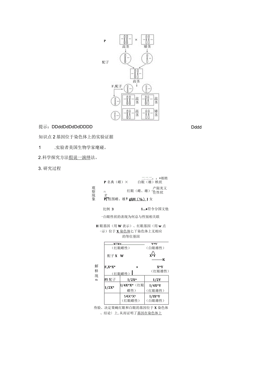 2023-2024学年人教版必修二基因在染色体上学案.docx_第2页