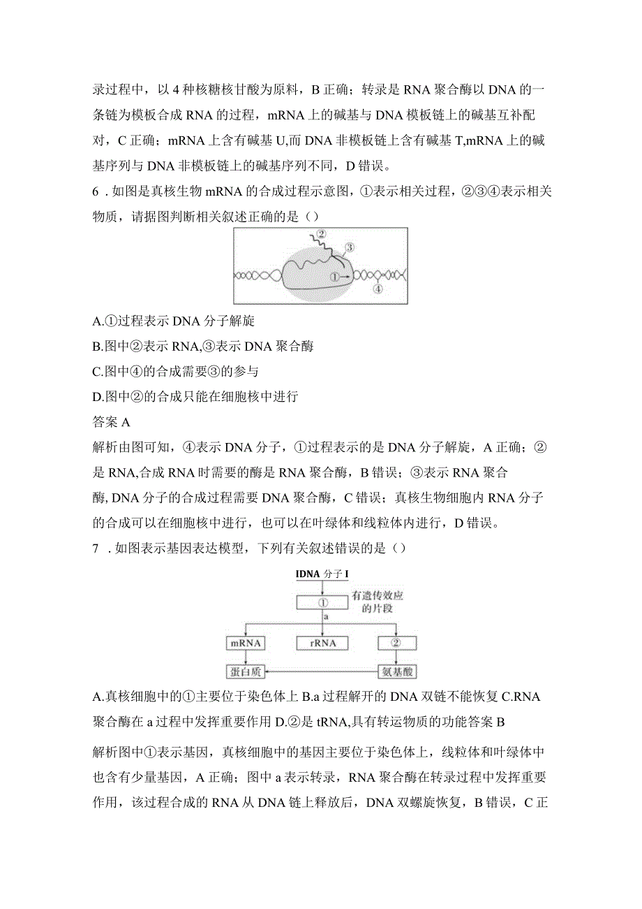 2023-2024学年人教版必修二遗传信息的转录作业.docx_第3页