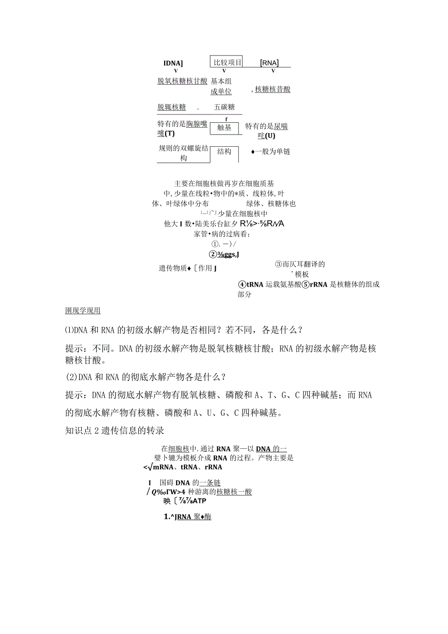 2023-2024学年人教版必修二遗传信息的转录学案.docx_第3页