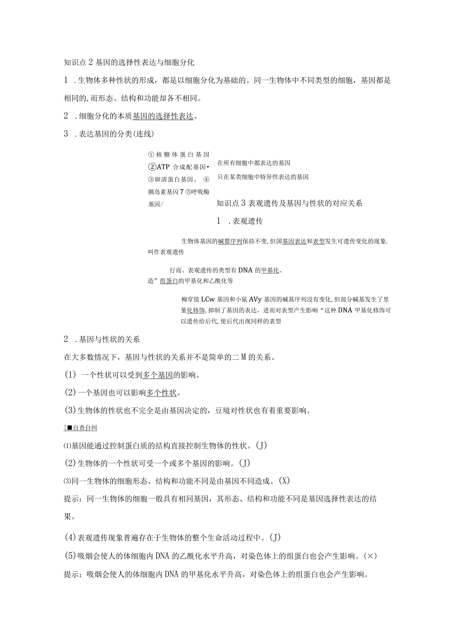 2023-2024学年人教版必修二基因表达与性状的关系学案.docx_第2页