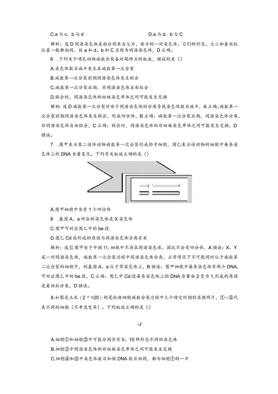 2023-2024学年苏教版必修二减数分裂产生精子或卵细胞作业.docx_第2页