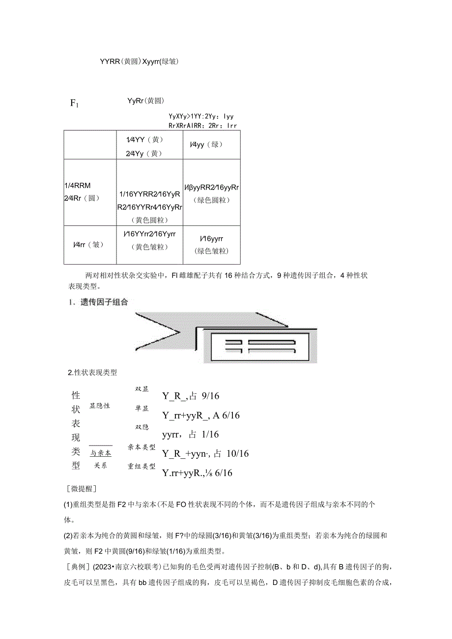 2023-2024学年苏教版必修二自由组合定律学案.docx_第3页