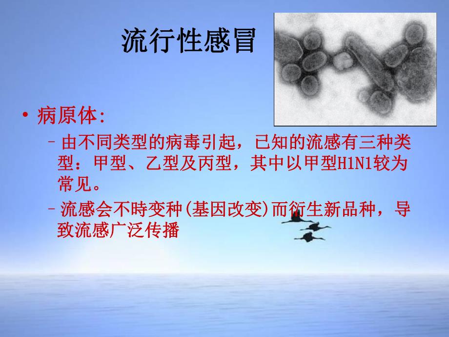 预防流感.ppt_第3页