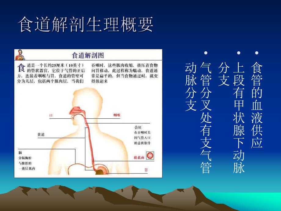 食管癌护理2.ppt_第3页