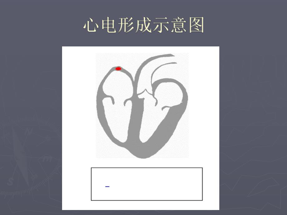 遇到长QT综合征病人医生怎么办.ppt_第3页