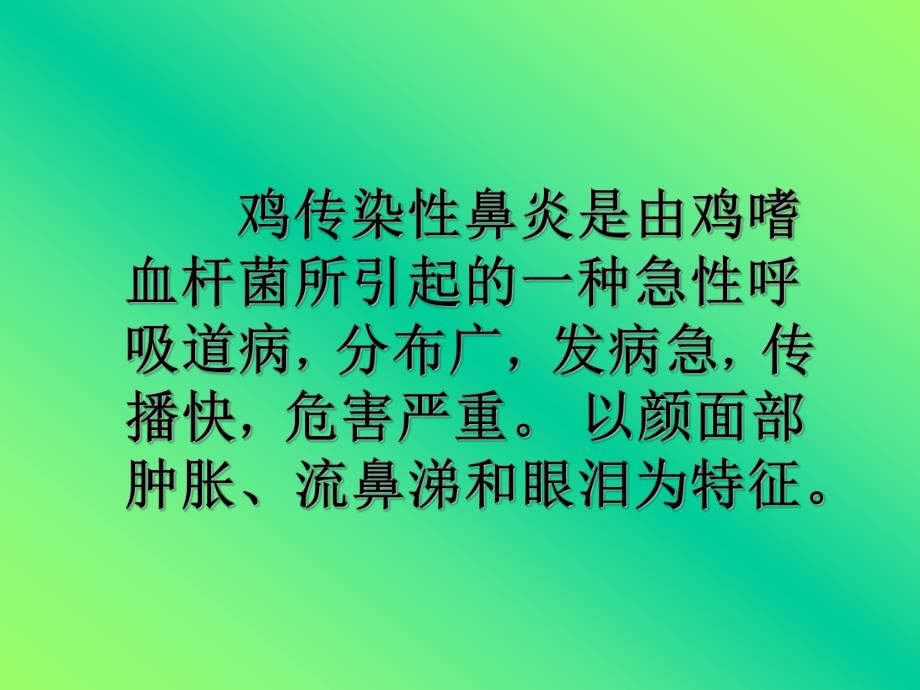 29传染性鼻炎.ppt_第2页