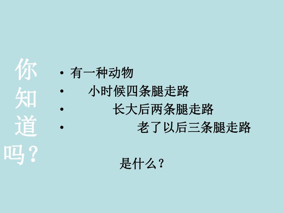 骨关节.ppt.ppt_第2页