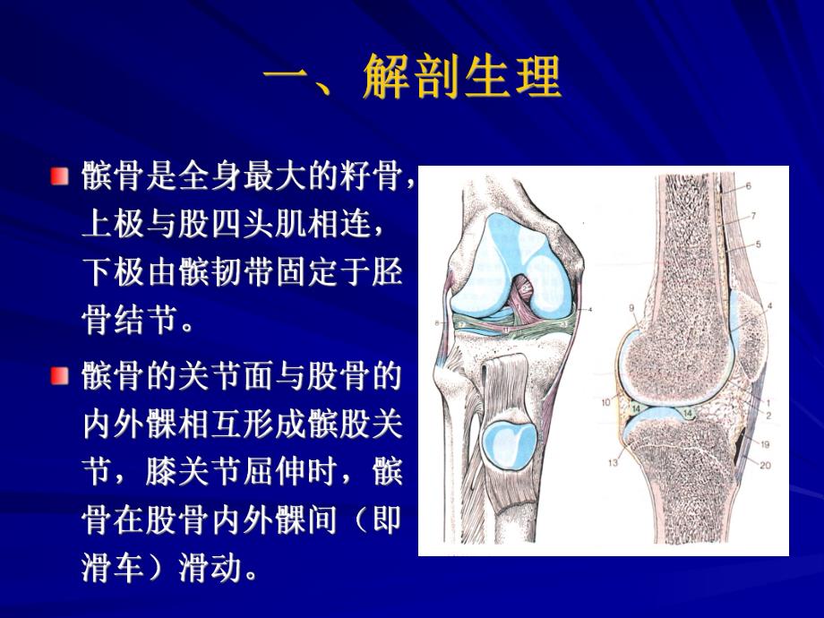 髌骨软化症的诊断及治疗.ppt_第2页