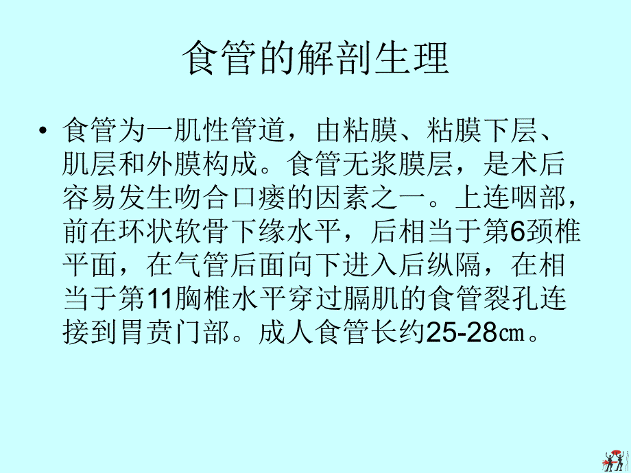 食管癌病人术前术后的护理.ppt_第3页