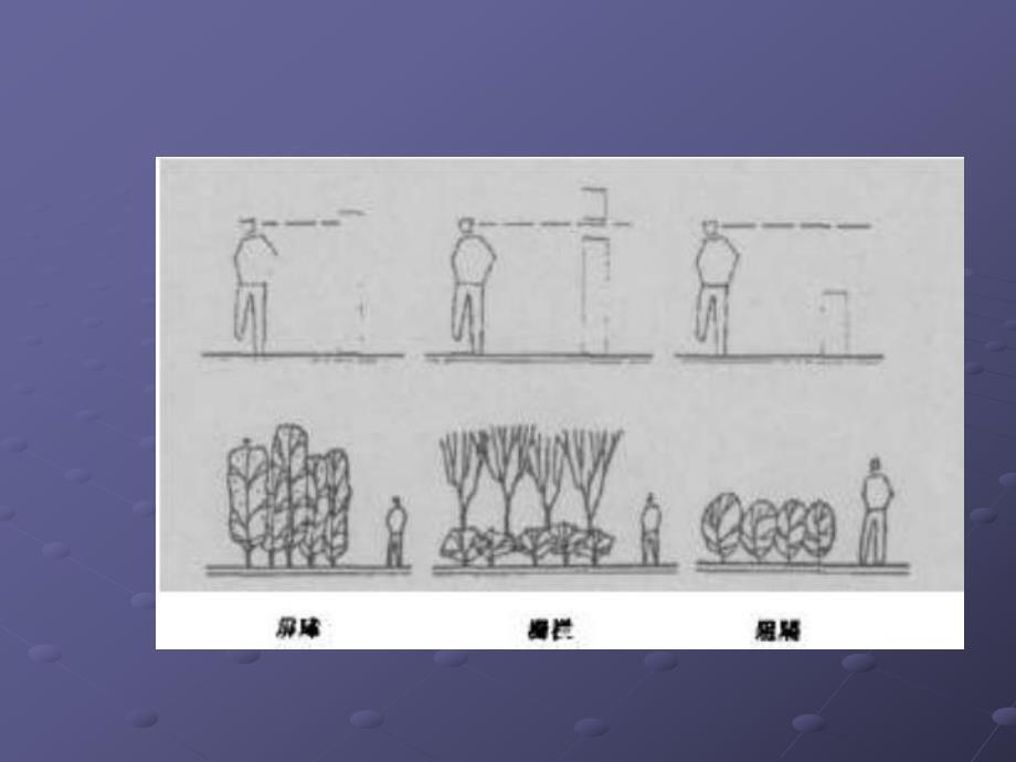 房地产园林植物造景设计（50页） .ppt_第2页