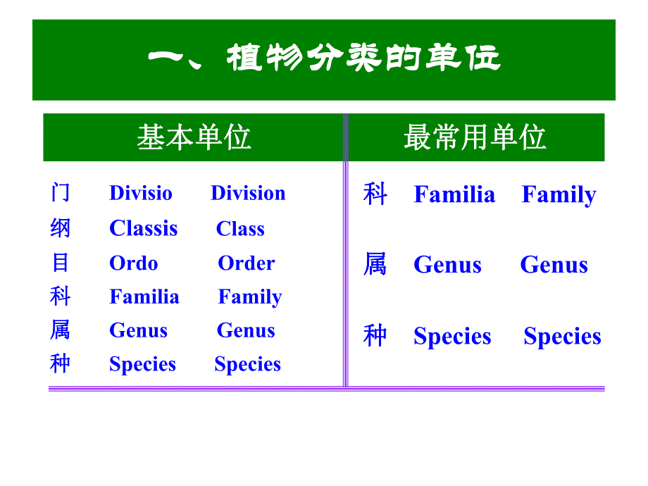 景观植物分类理论.ppt_第1页