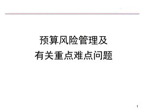 预算风险管理.ppt