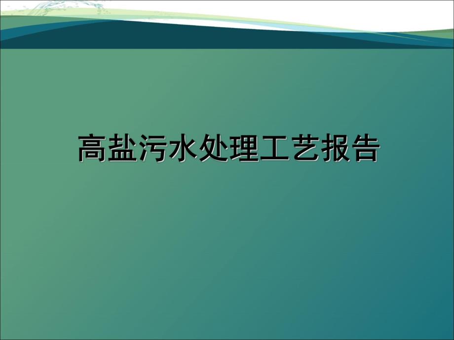 高盐水处理工艺及装置设计.ppt_第1页