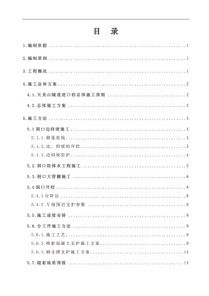 XXX隧道进洞专项施工方案.doc