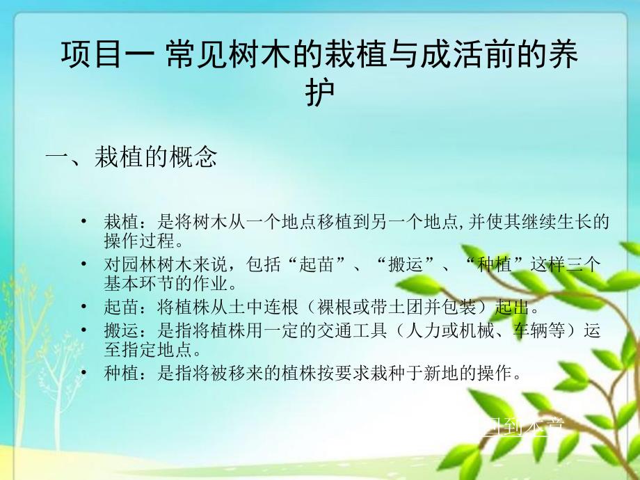 单元1.1园林常规树木的栽植与养护.ppt_第2页