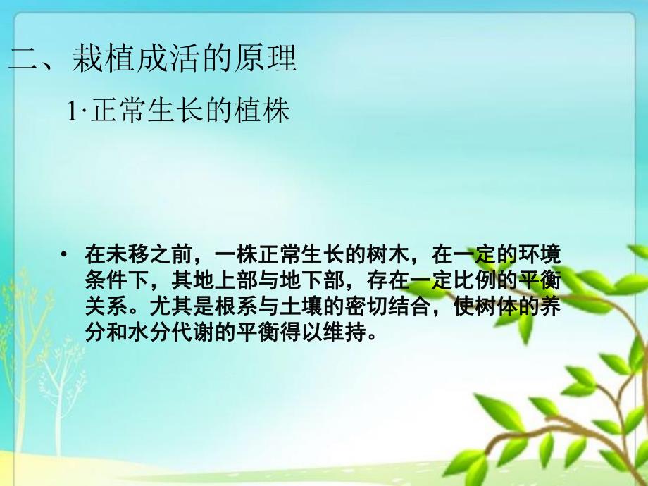 单元1.1园林常规树木的栽植与养护.ppt_第3页