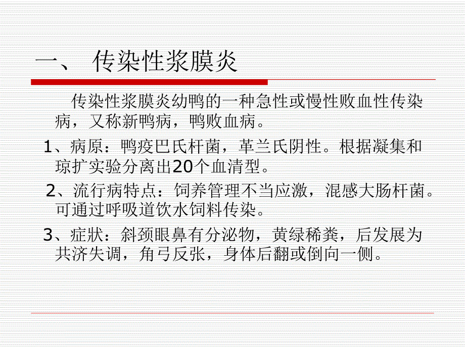 鸭细菌性疾病.ppt_第2页