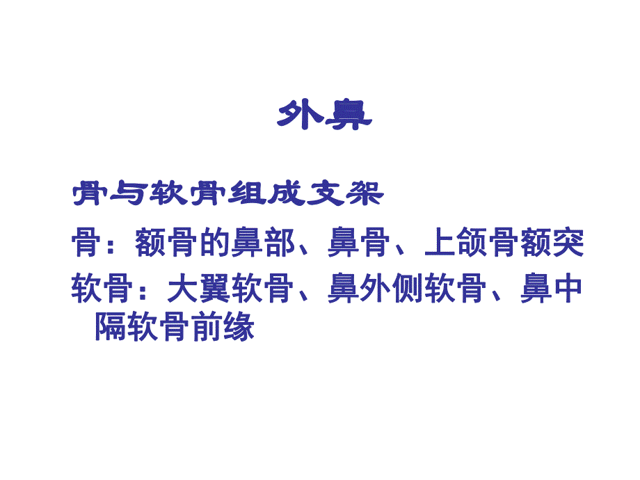 鼻部解剖.ppt.ppt_第3页