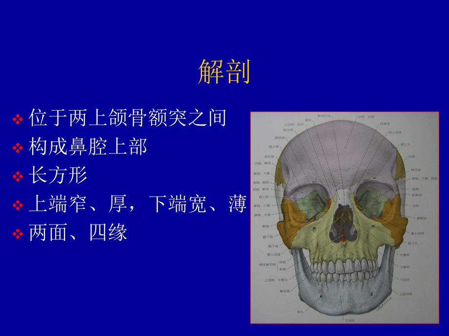 鼻骨骨折影像学诊断.ppt_第2页