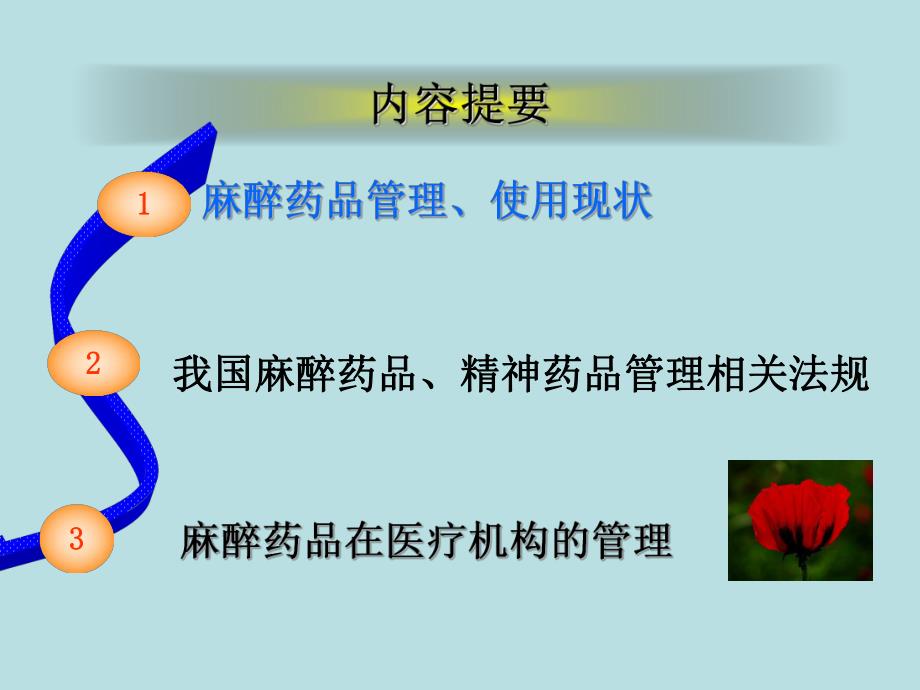 麻醉药品培训.ppt_第2页