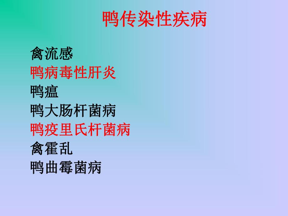 鸭病诊断与防制().ppt_第2页