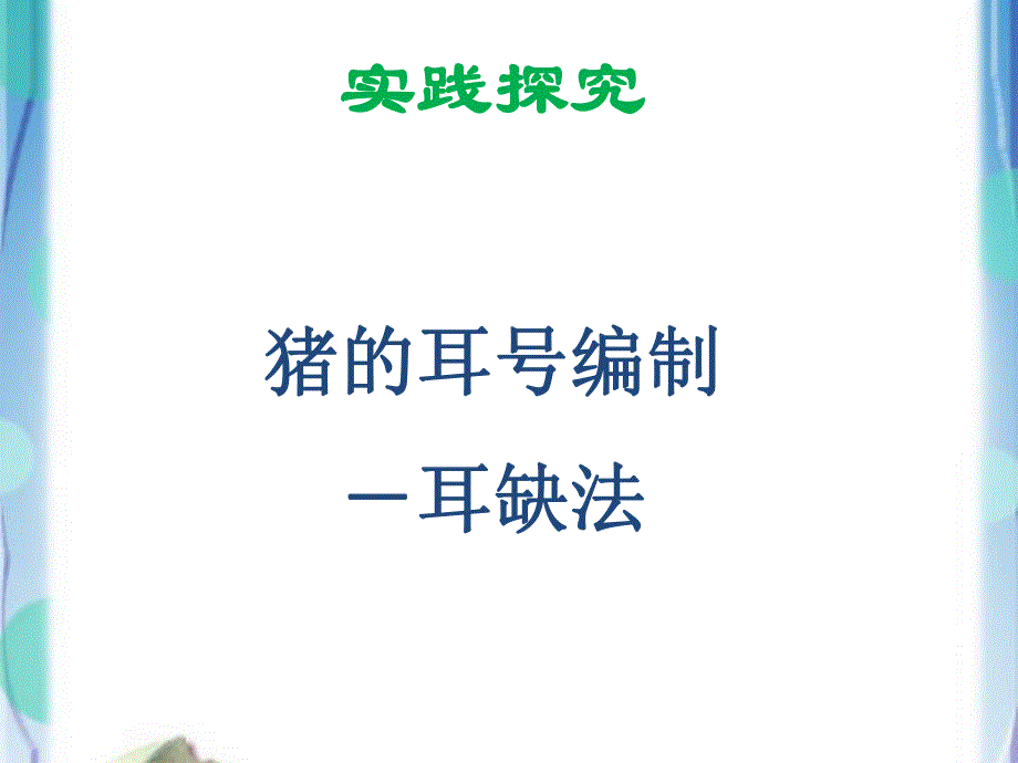 猪的耳号编制.ppt_第3页