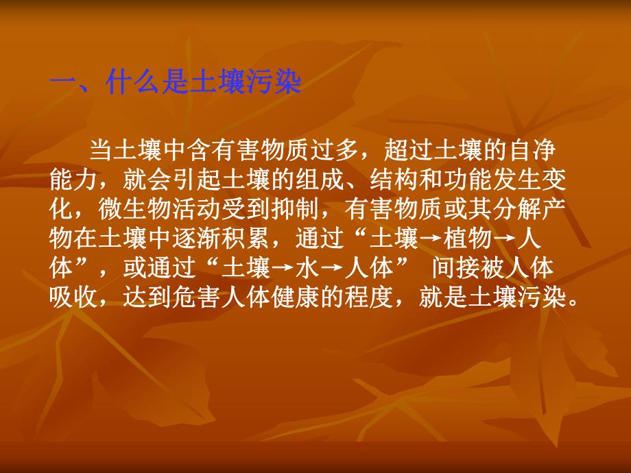 土壤污染防治(PPT22).ppt_第2页