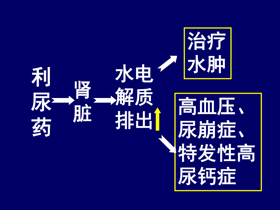 利尿药及脱水药.ppt_第2页