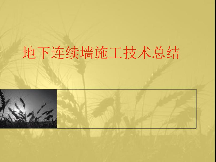 地下连续墙施工技术总结.ppt_第1页