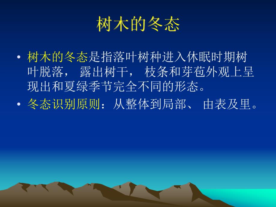 园林树木的冬态识别.ppt_第2页