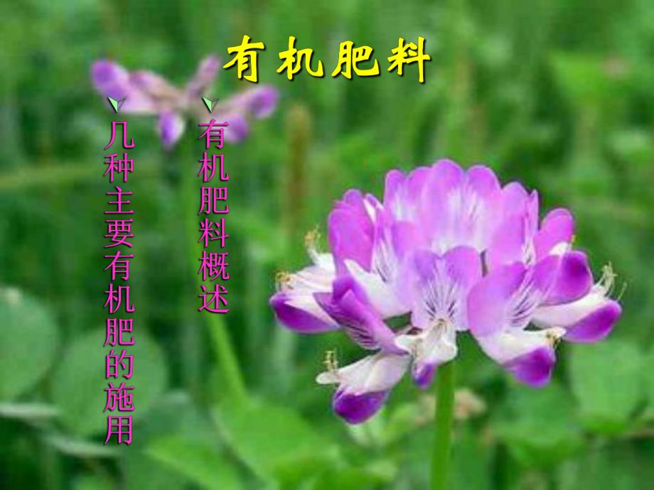 园林植物环境有机肥料.ppt_第1页