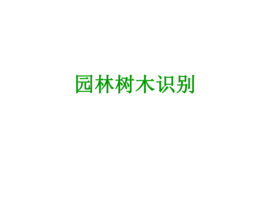 园林树木识别稿.ppt_第1页