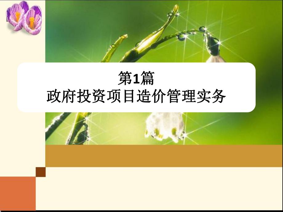 工程造价员继续教育培训讲义ppt（精品） .ppt_第2页