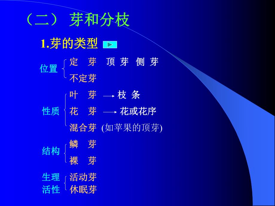 第四章茎的形态结构与建成过程.ppt_第2页