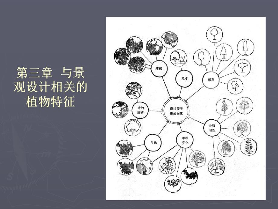 第三章与景观设计相关的植物特征.ppt_第1页