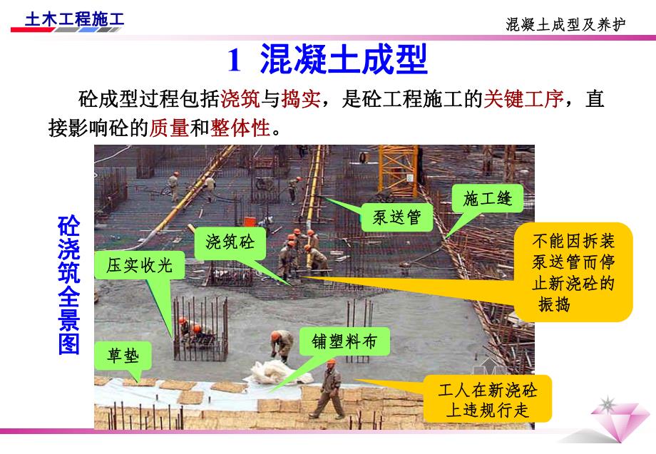 混凝土的成型及养护.ppt.ppt_第2页