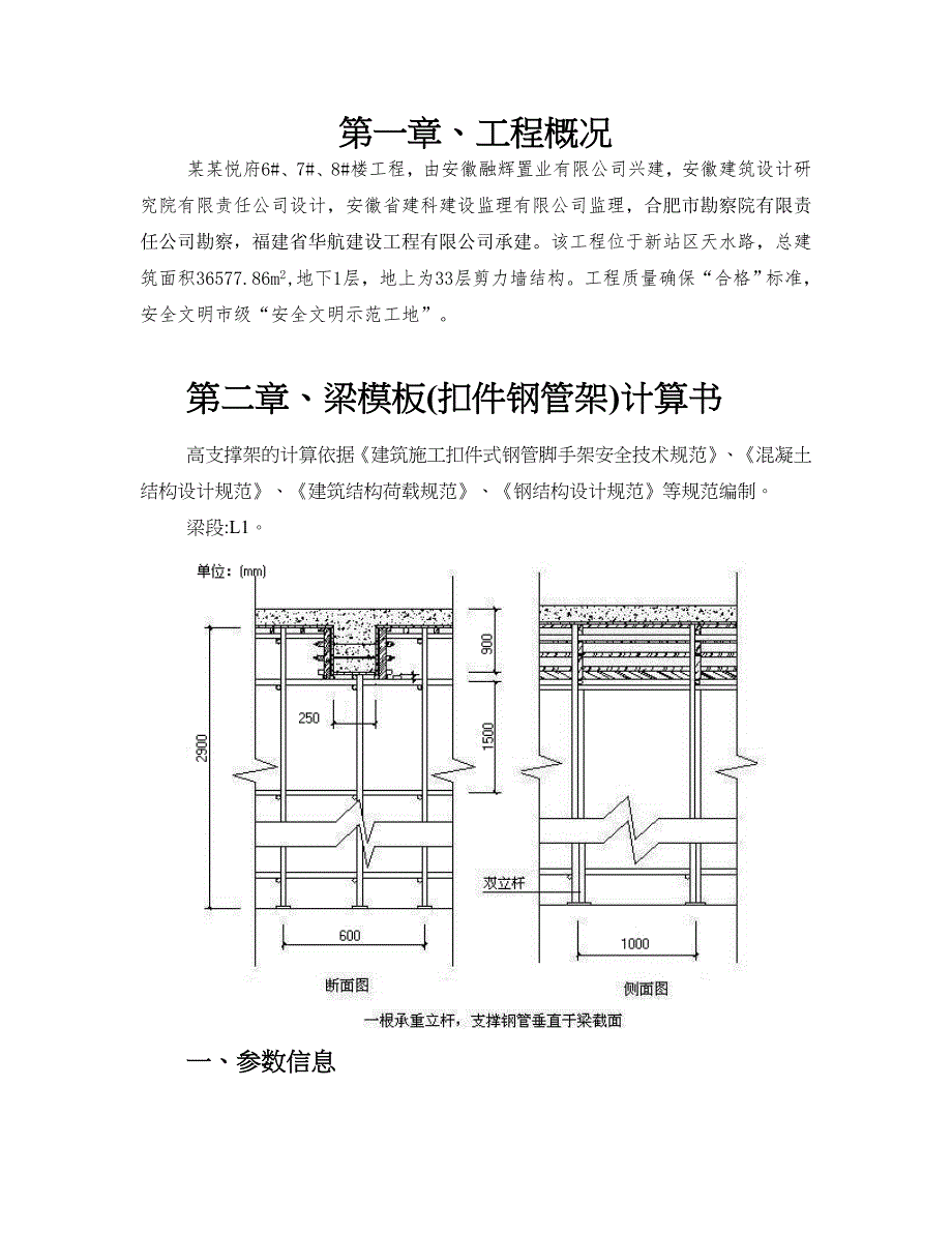 安徽剪力墙结构高层小区住宅楼模板专项施工方案(含计算书).doc_第1页