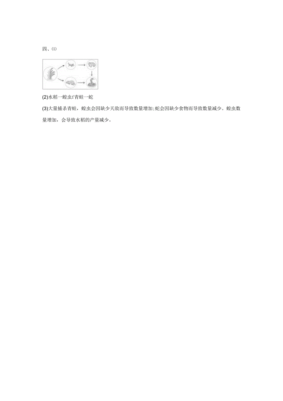 1.6 食物链和食物网 (练习) 五年级科学下册（教科版).docx_第3页