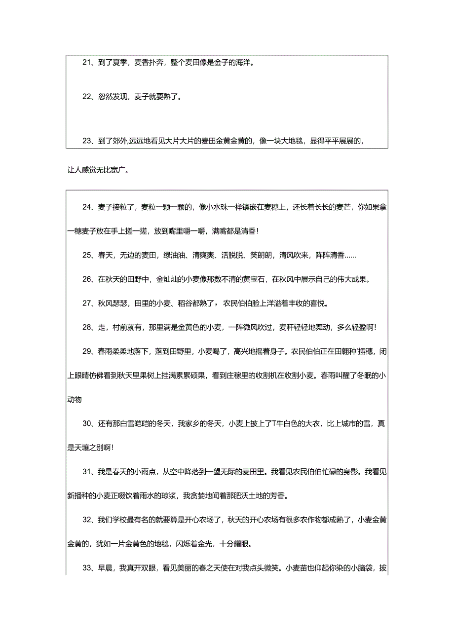 2024年麦子成熟的唯美句子.docx_第3页