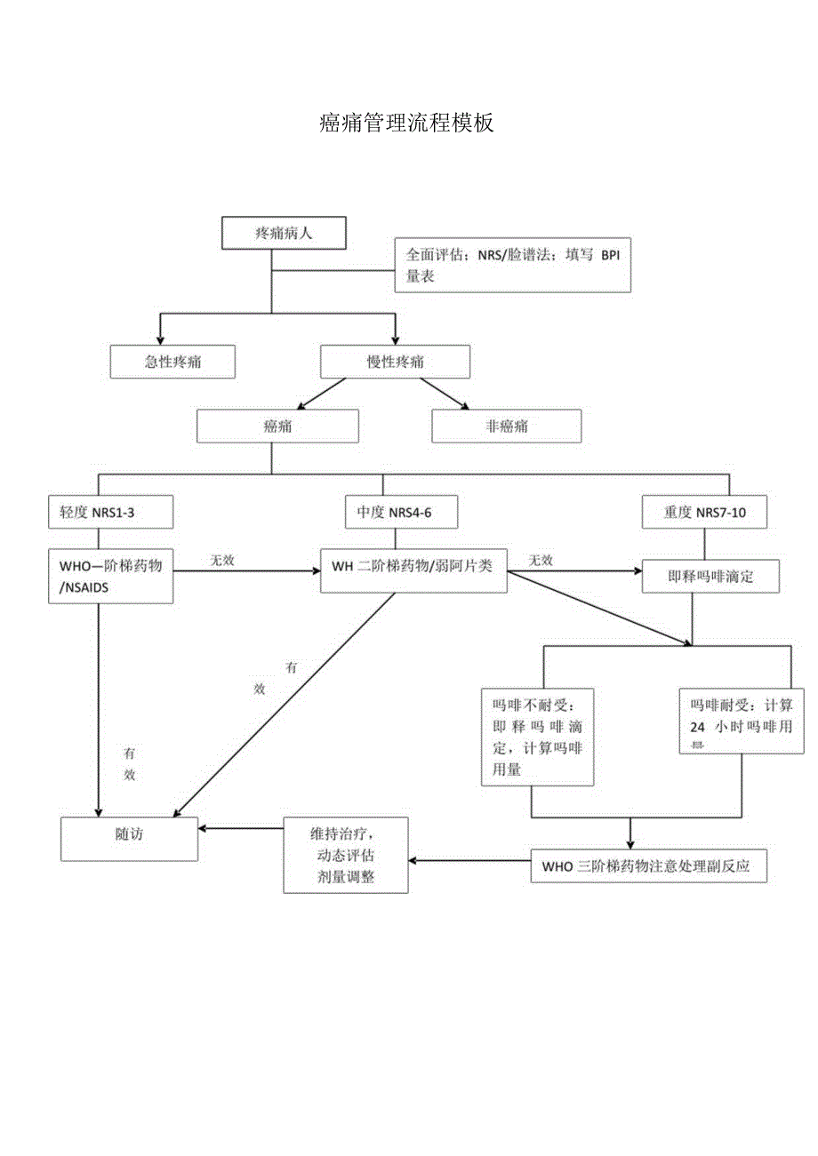 癌痛管理流程模板.docx_第1页