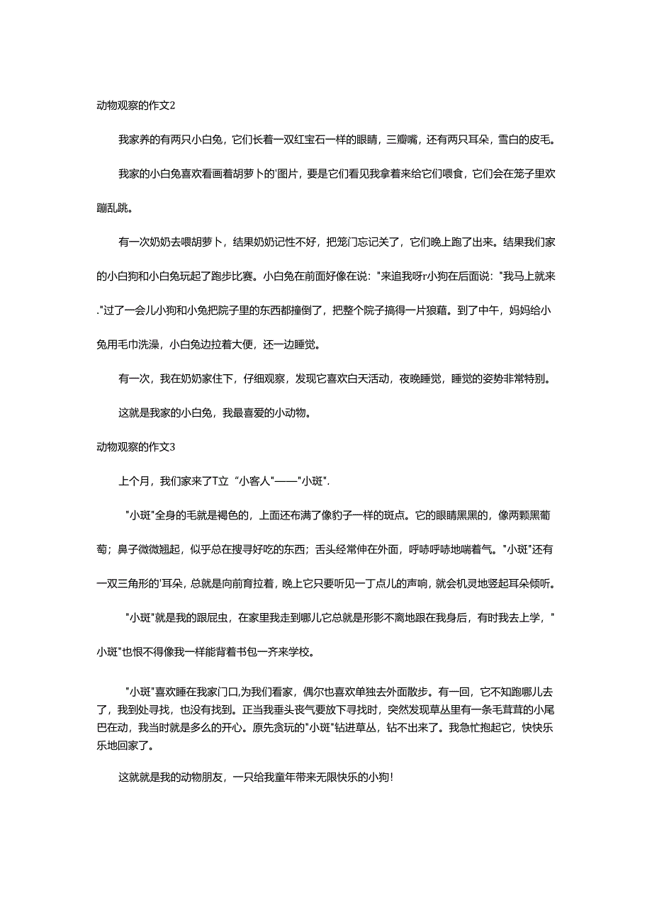 2024年动物观察的作文.docx_第2页