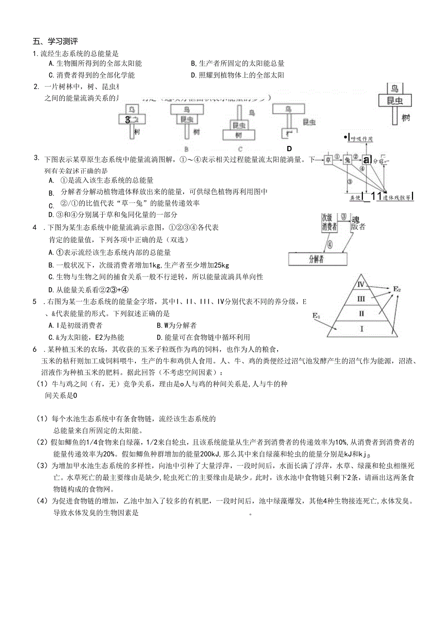 5.2生态系统的能量流动.docx_第3页