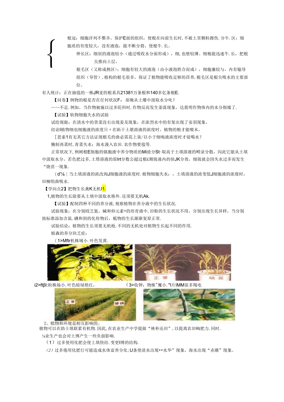 4.3 植物的根与物质吸收.docx_第2页